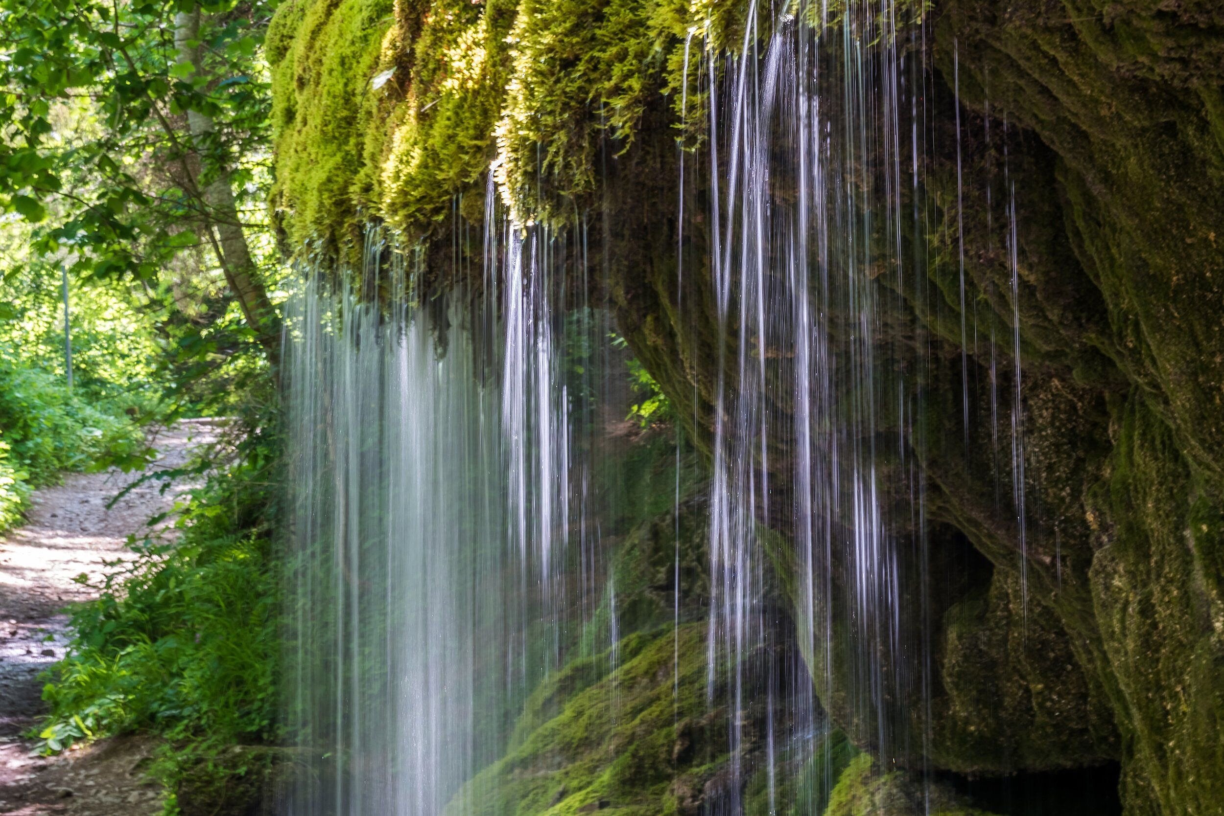 Top-Trails-Schluchtensteig-Schwarzwald-Wasserfall-Wutachschlucht