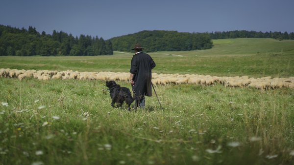 Top-Trails-Albsteig-Wanderschaefer-4