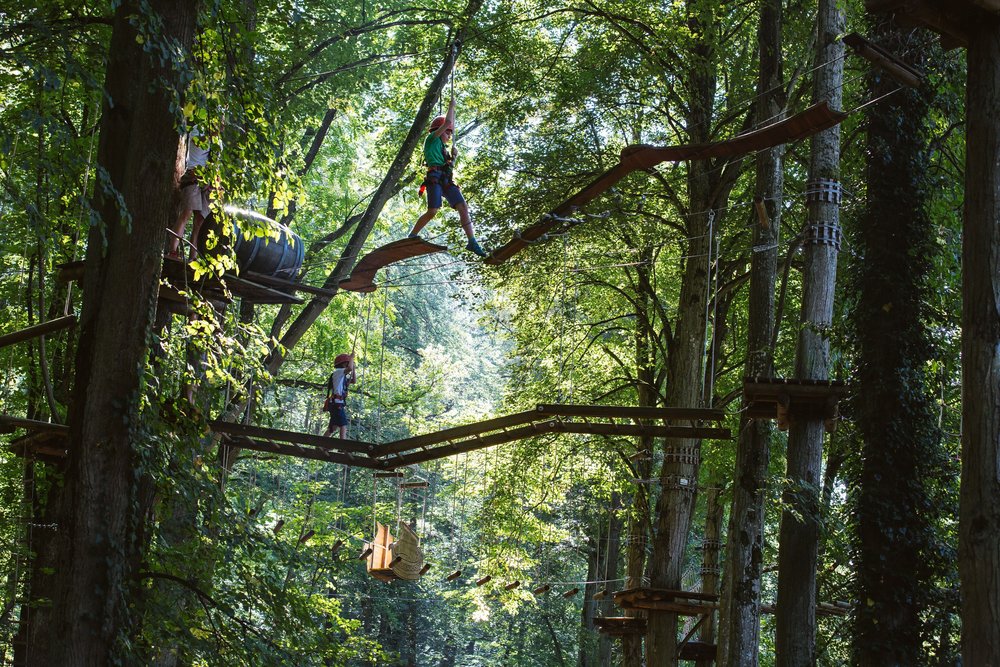 Top-Trails-Altmühltal-Mutprobe-Waldklettergarten