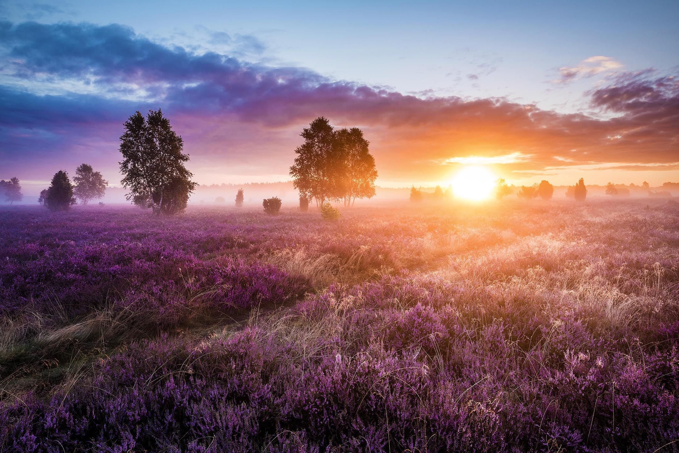 Sonnenuntergang Heidefeld, Top Trails Germany