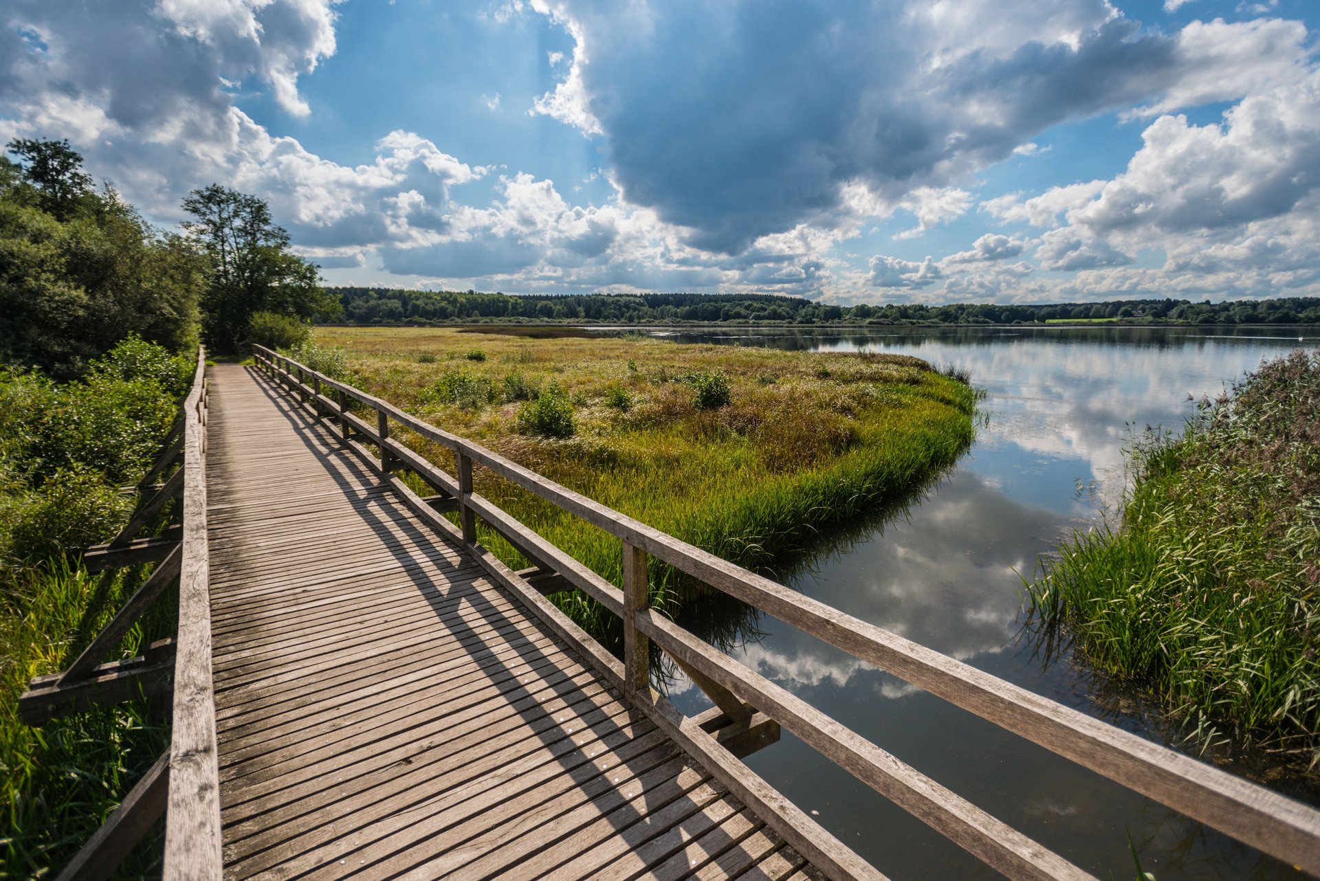 Top-Trails-Westerwald-Dreifelder-Weiher-Brücke