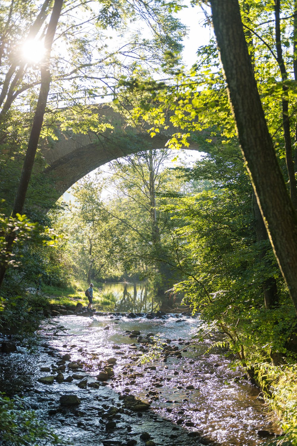 Top-Trails-WesterwaldSteig-Eisenbahnbrücke-Nistertal