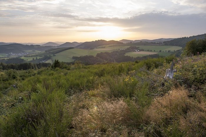 Top-Trails-Rothaarsteig-Weitblick