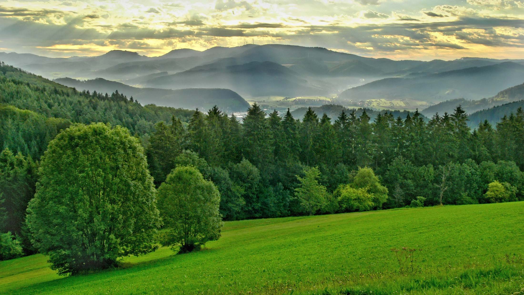 Aussicht Westweg