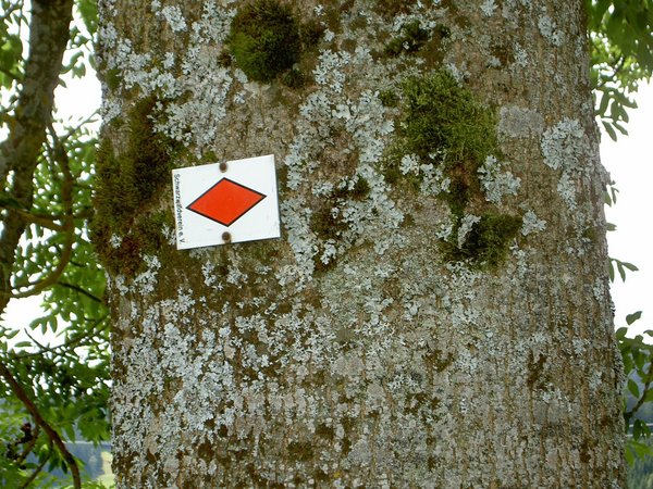 Wegezeichen vom Westweg