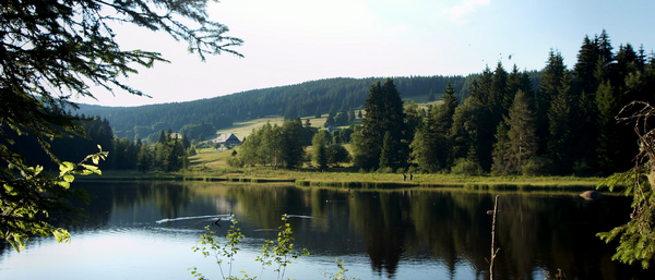 Top-Trails-Schluchtensteig-Schwarzwald-Schluchsee