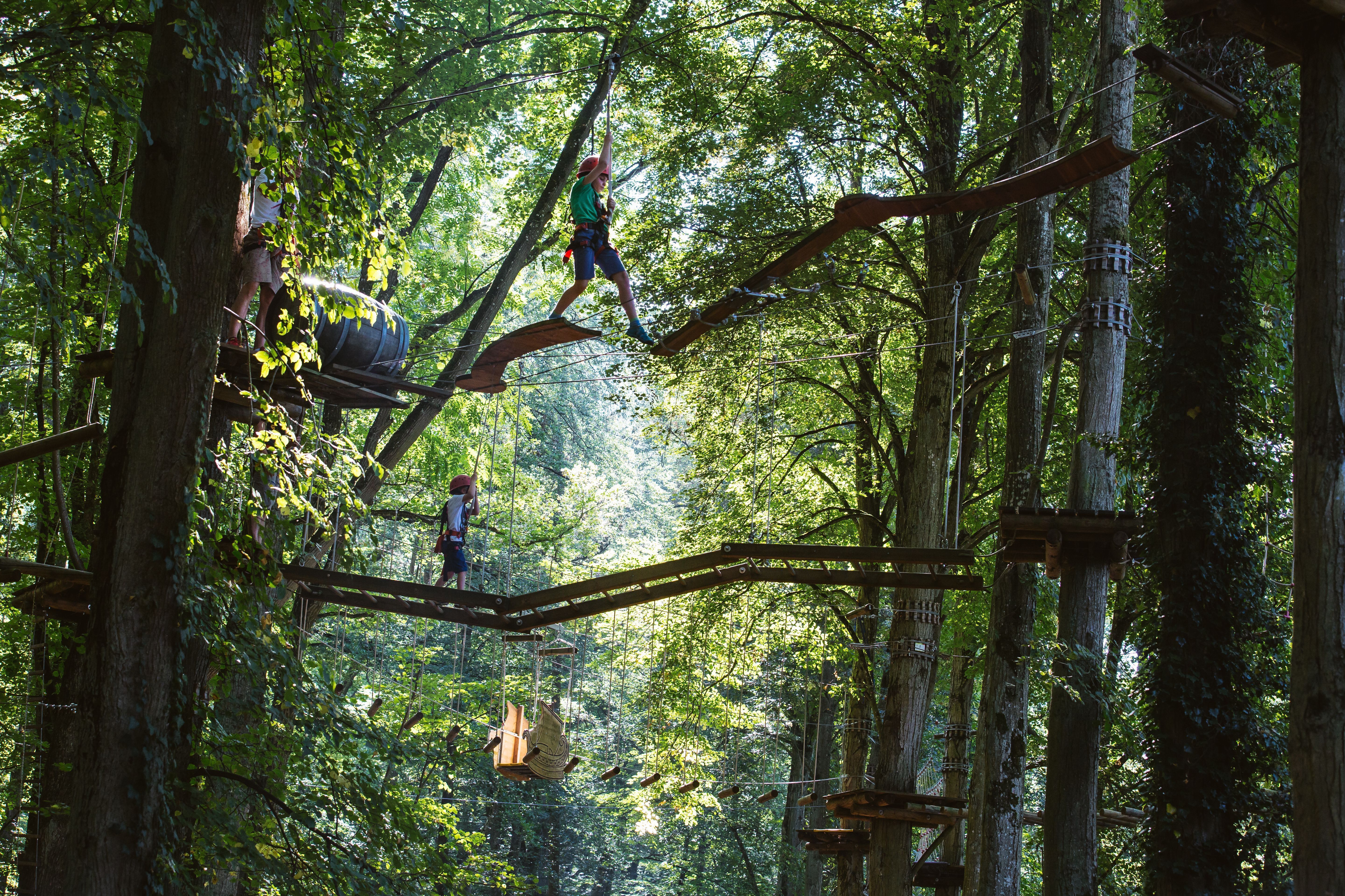 Top-Trails-Altmühltal-Mutprobe-Waldklettergarten