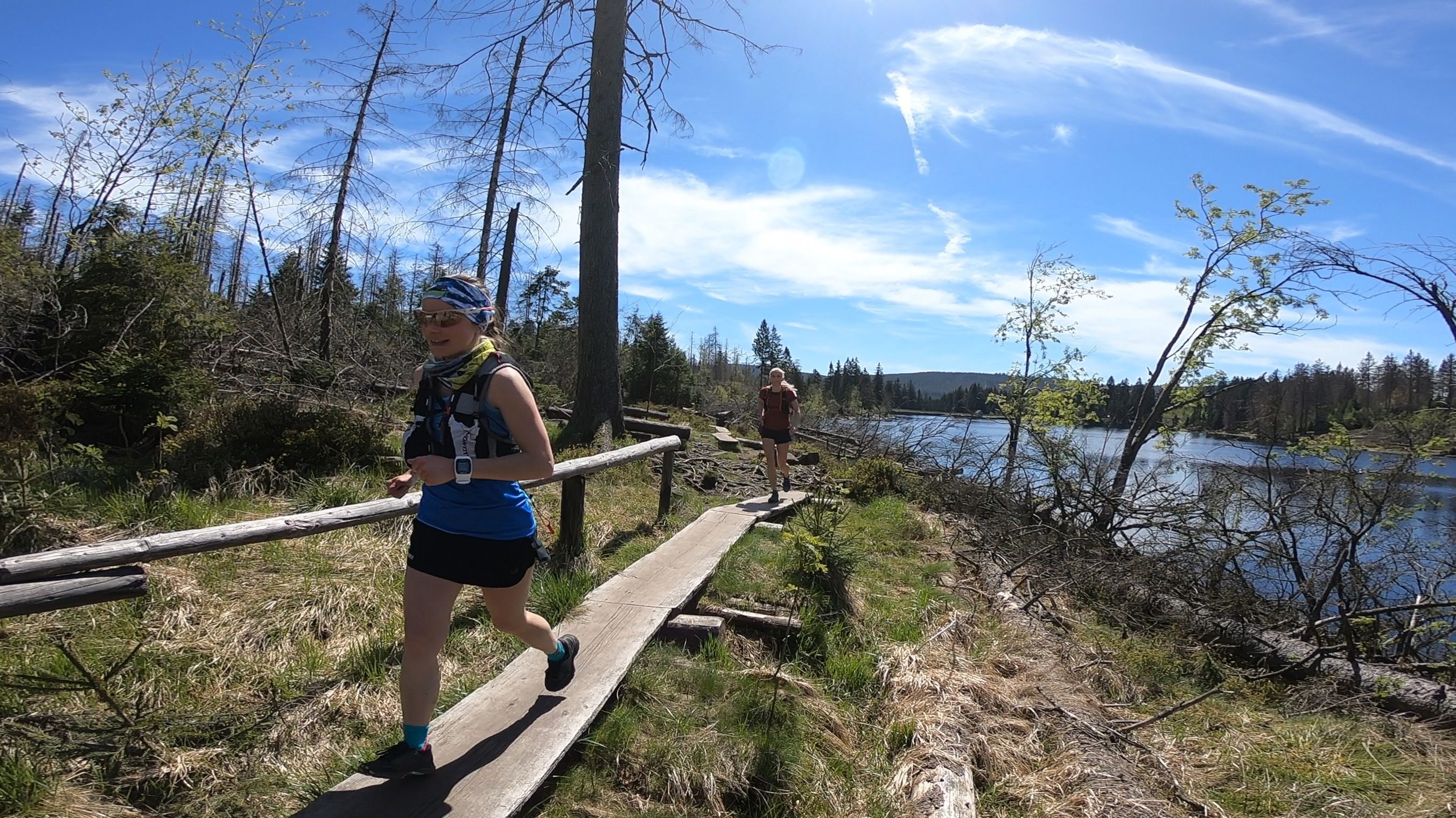 Top-Trails-Harzer-Hexen-Stieg-Harzrunning