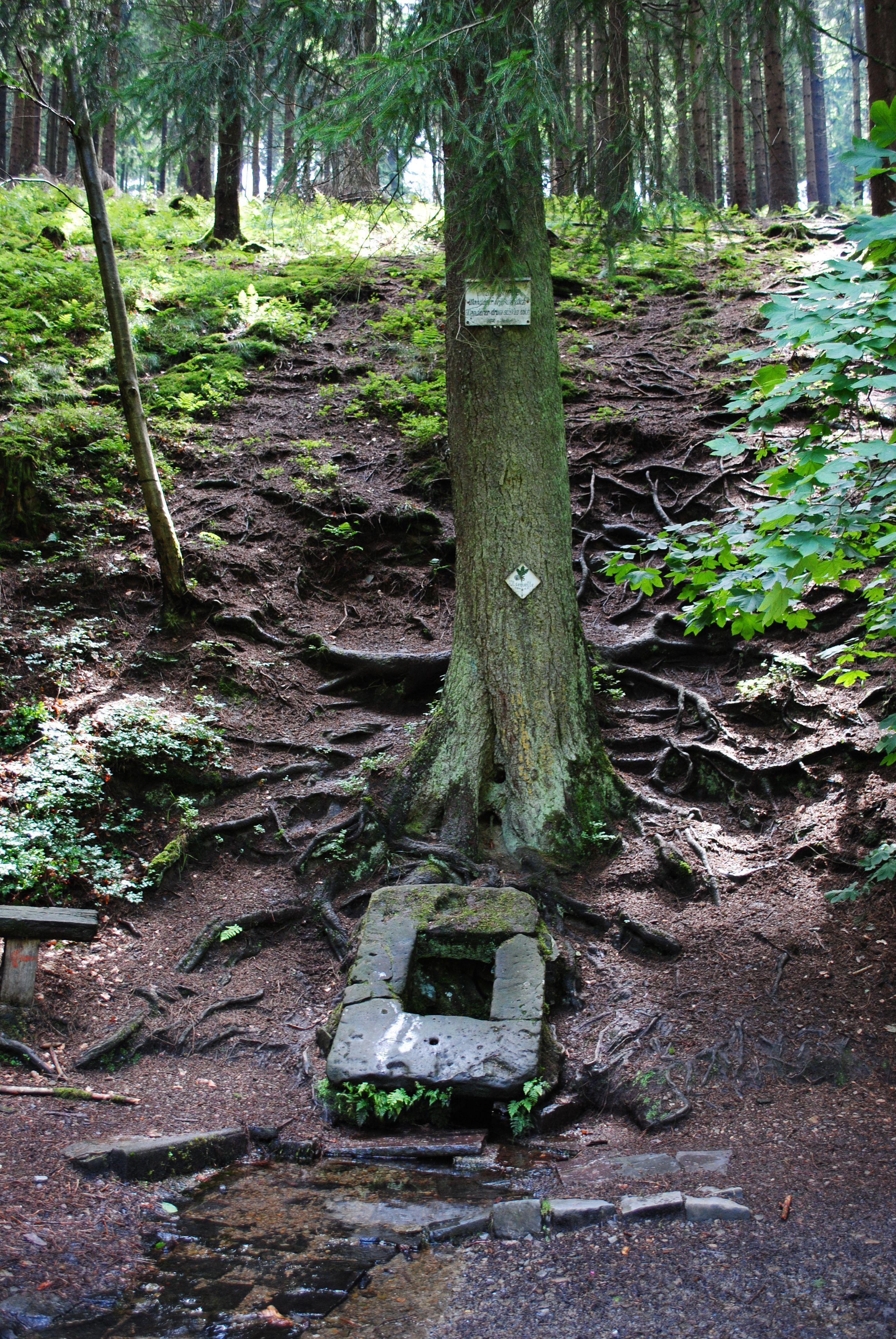 Top-Trails-Ilsetalquelle